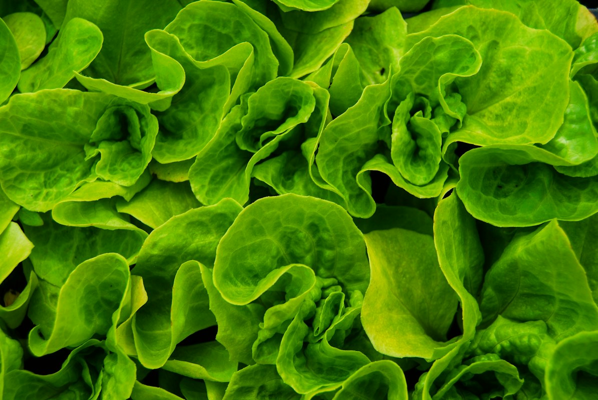 La vitamina D e la vista: collegamento spesso trascurato